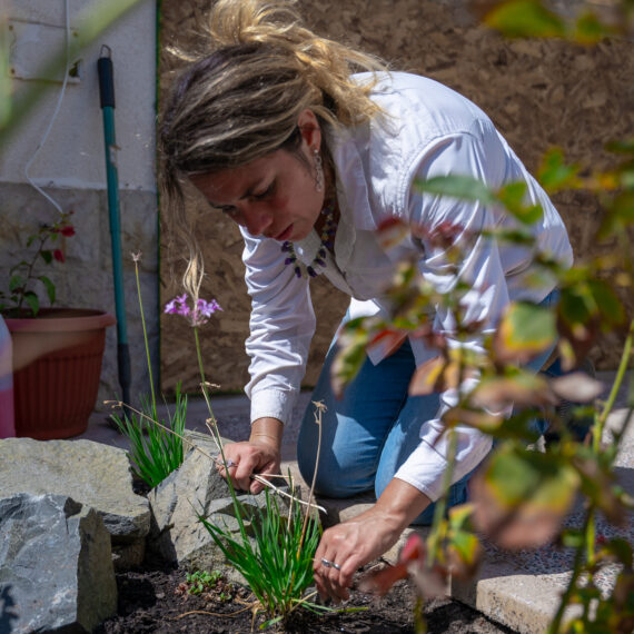 jardineria 3