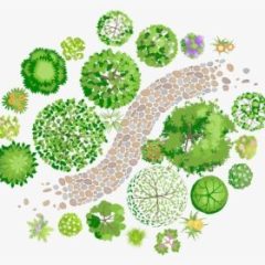 410-4109142_professional-landscapers-landscaping-design-landscape-landscape-design-hd